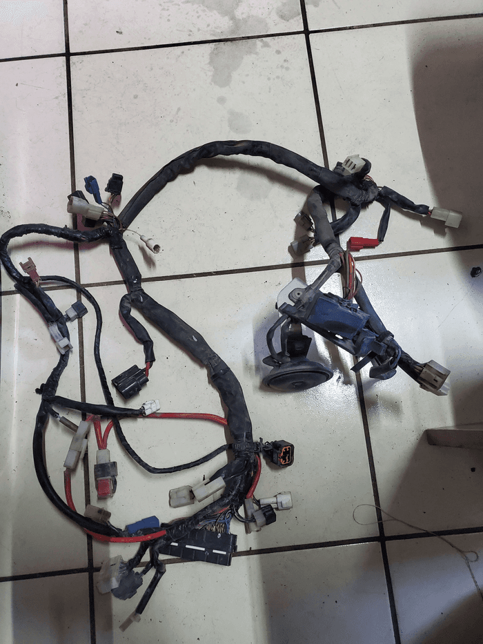 Arnes principal  - 2